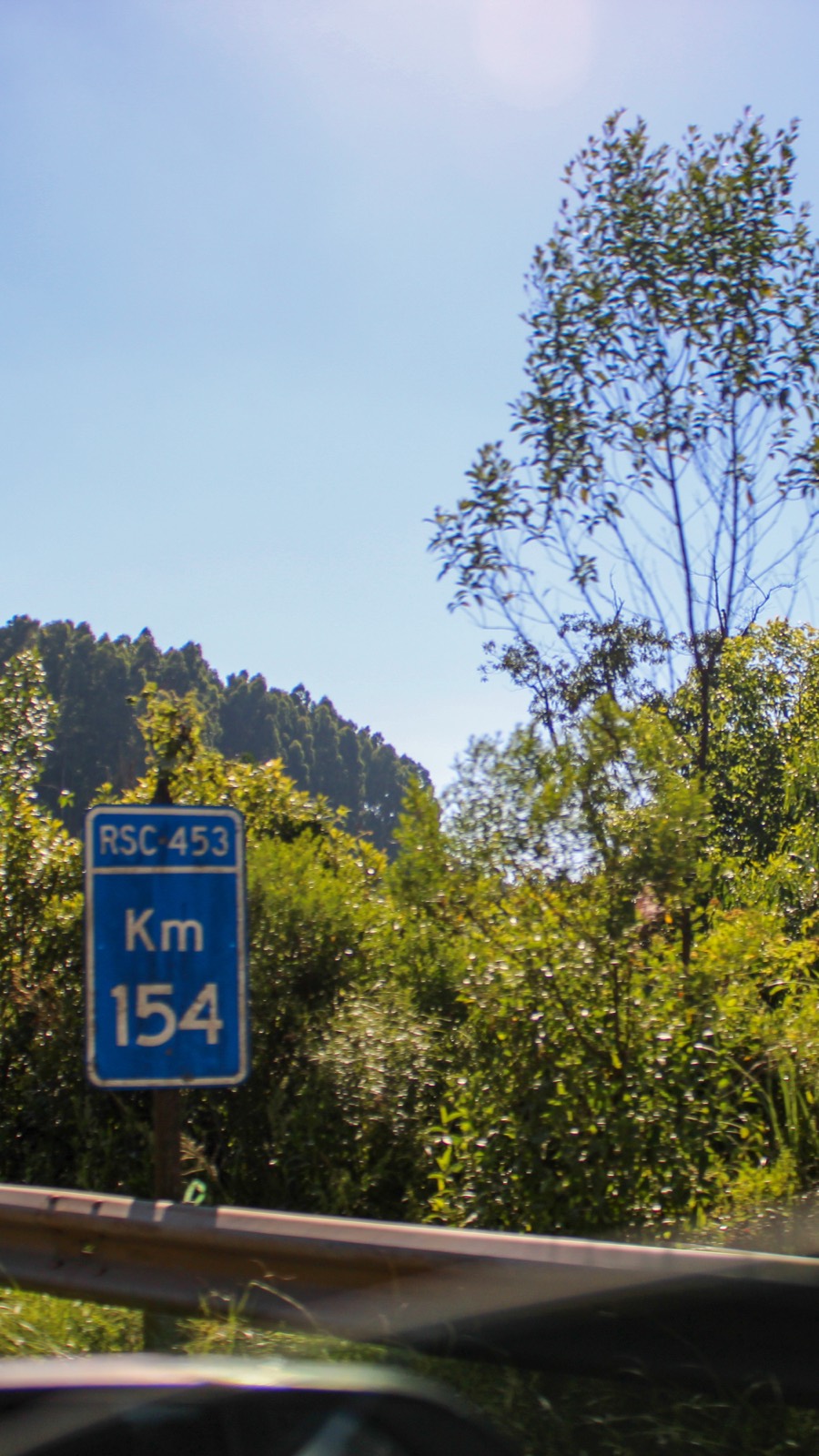 A highway marker beside a tree-lined country road.