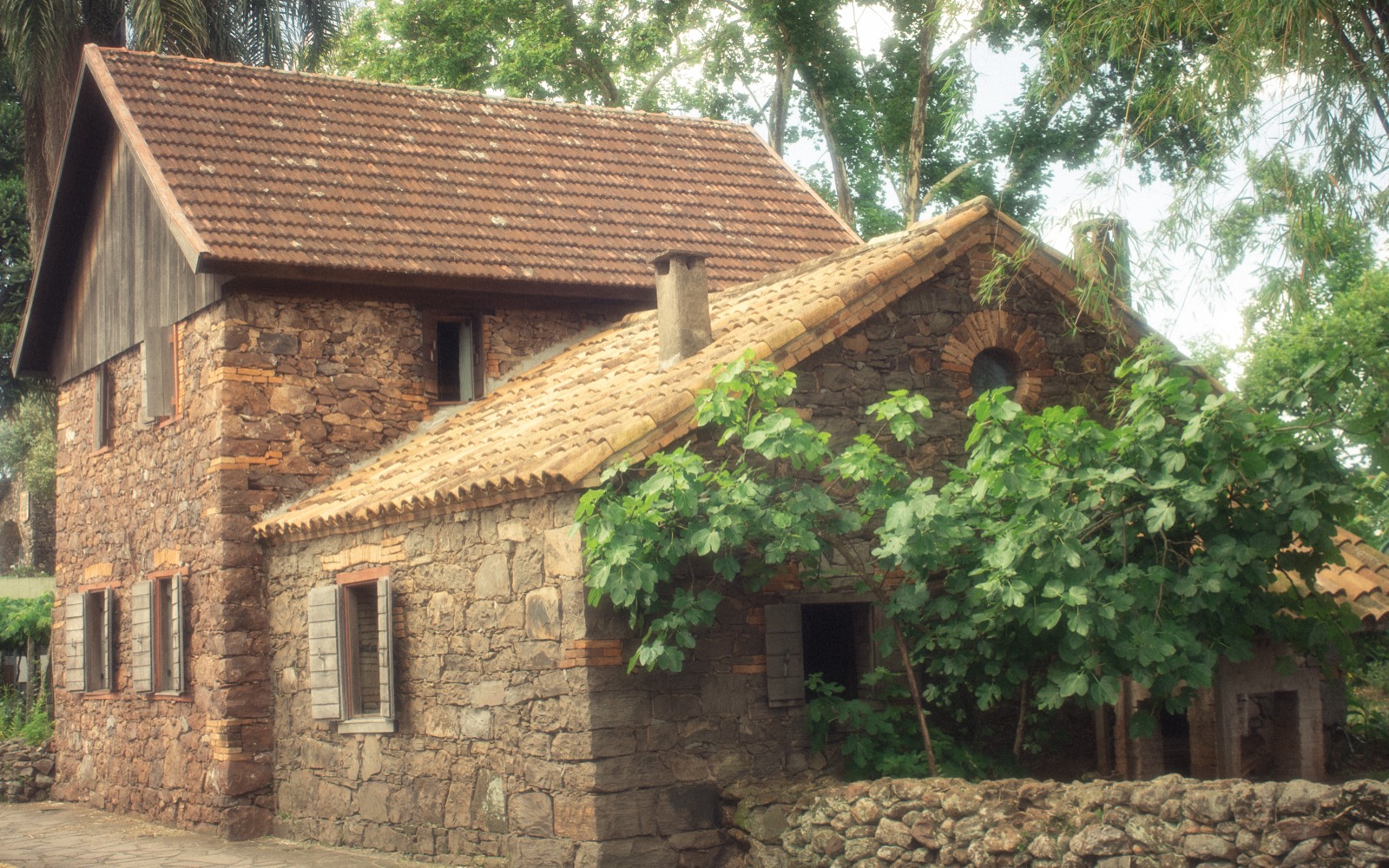 A rustic stone house with a tiled roof and climbing grapevines.