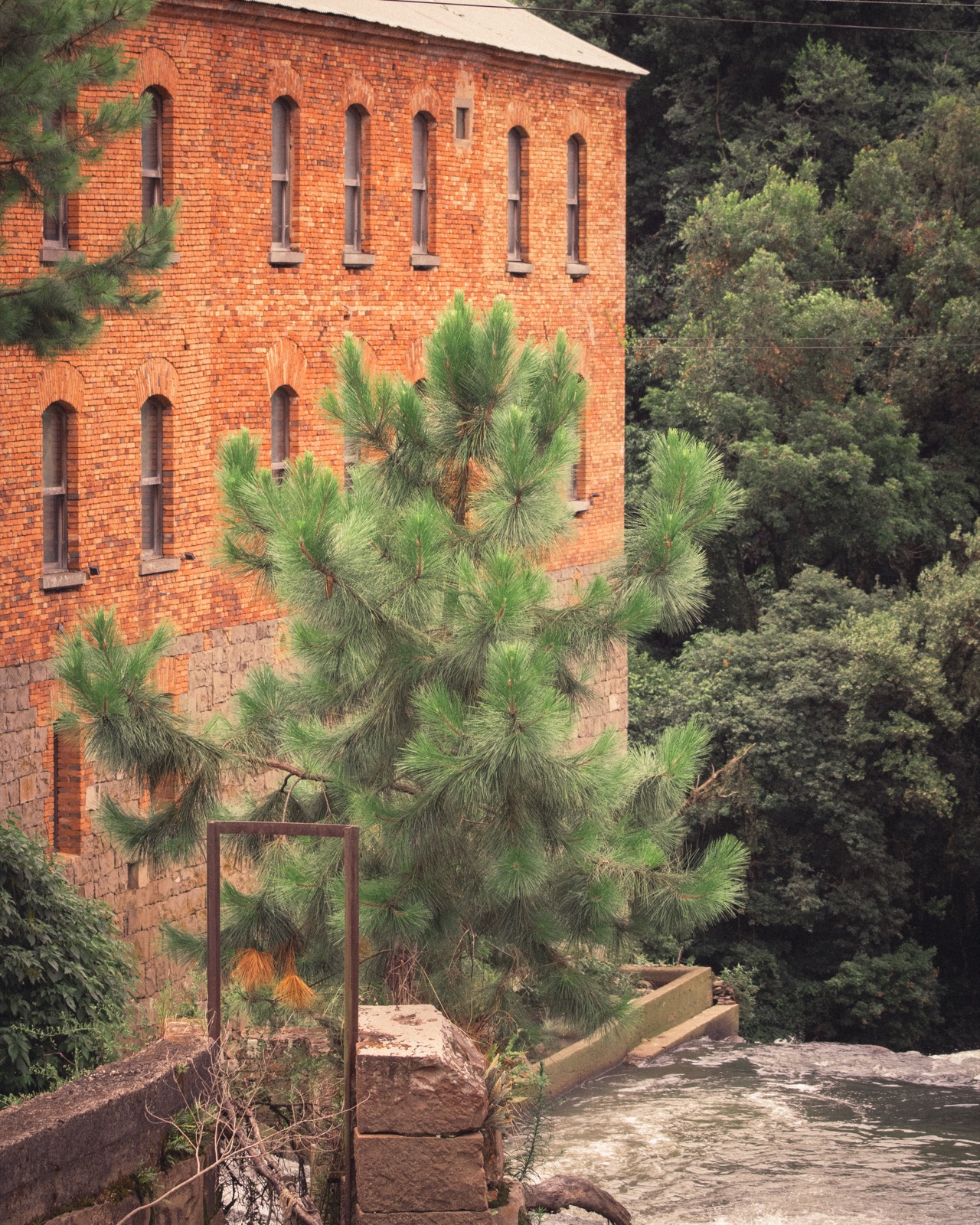 A tall red-brick mill beside a river, framed by pine trees.