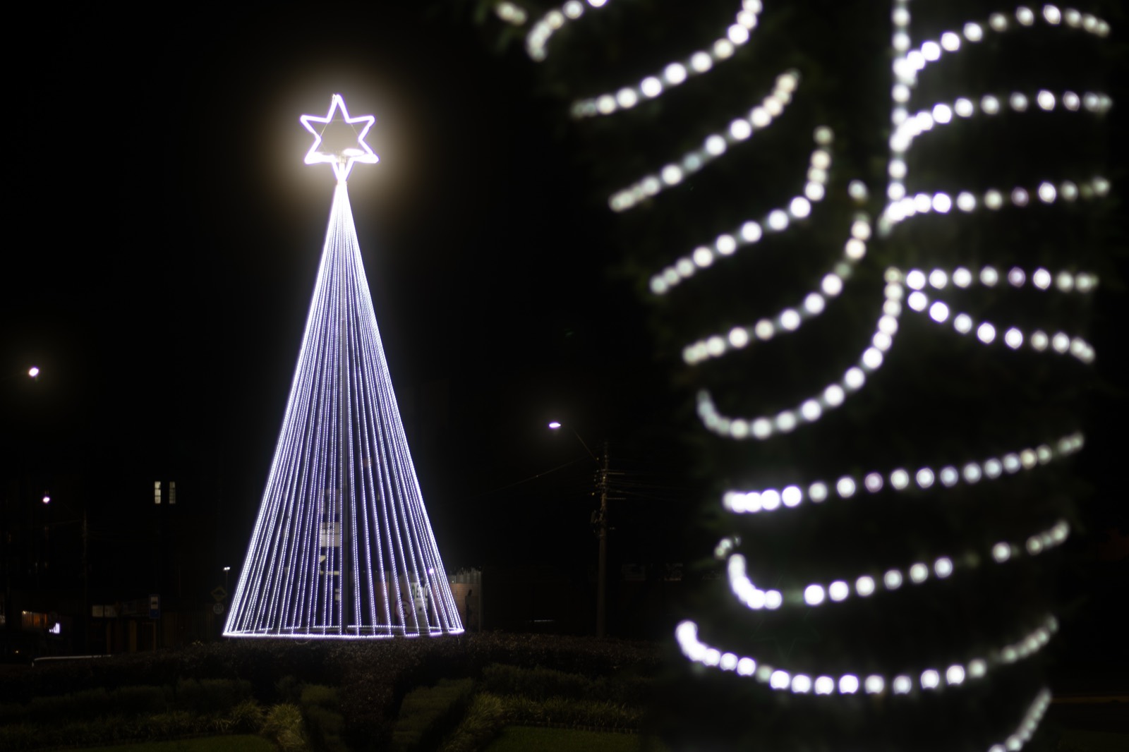A tall Christmas tree outlined in white lights against the night.
